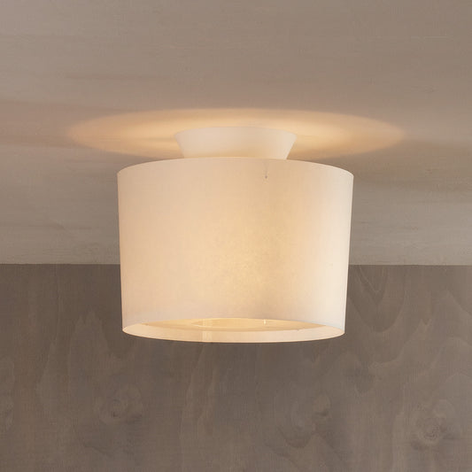 Z plafond 25 cm
